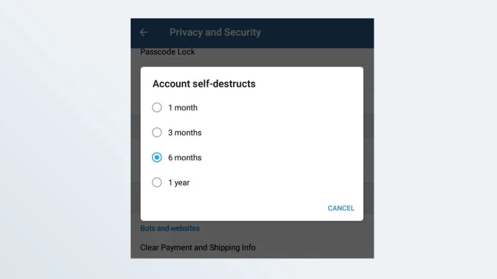 alt AoxVPN Screenshot of the Telegram account self-destruct settings screen in the Android app.